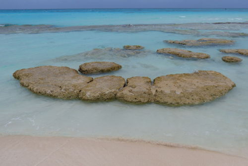 WTF: Though they look like boring rocks, stromatolites are 3,000 year old biological structures form