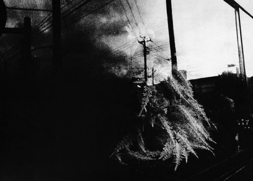Untitled (1970)from the [ A Language to Come ] photobook© Takuma Nakahira* παρ&omi