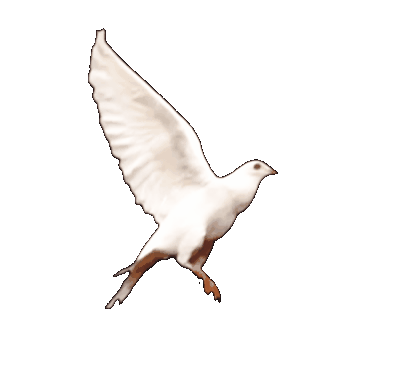 I Remember Ten Years Old, Pretending To Spread My Wings And Fly; Running Around My School’s Playground,