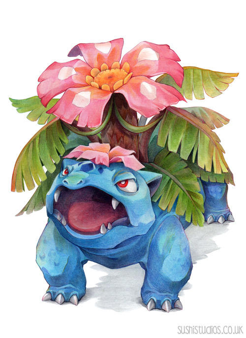 sushi-studios: Mega Venusaur! personal choice, bulbasuar was always my favourite.