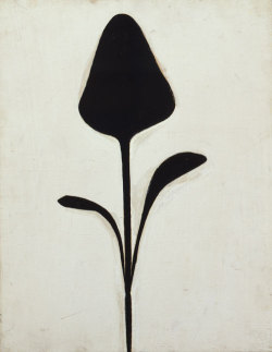 Igormaglica:  Ellsworth Kelly (1923-2015), Plant Ii, 1949. Oil On Wood, 41.9 X 33.0