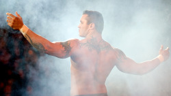 fishbulbsuplex:  Randy Orton