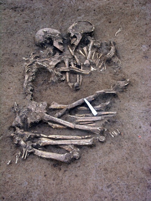 museum-of-artifacts:The “Lovers of Valdaro,” ca. 6000 years old. Unique Neolithic double burial of y