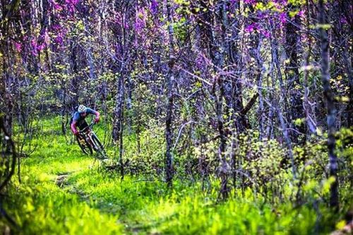 mtbikinglove:  #mountainbikes #mountainbike #MTB #mtbtrails #mtbtrail #trails #Bike #bikelife #Mount