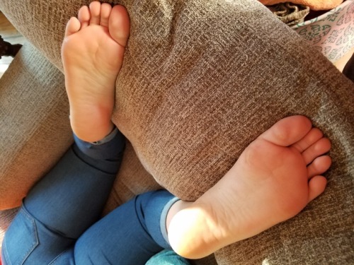 turkishwifefeet:  snoop07:AJ this is a perfect example of a married woman’s feet in socks for a loong day. the sweat, the hard skin and beauiful dark balls of toejam makes me think of smelly wife feet.