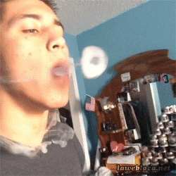 gratefully-dabbed:  we-smoke-the-blunts:
