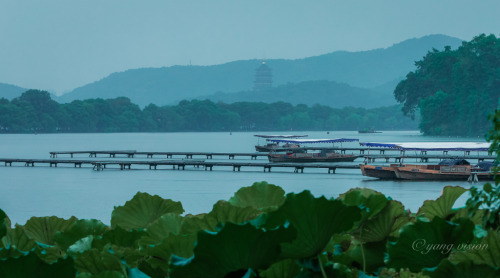 West Lake In Blue Hour By 影像视觉杨 