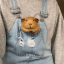 sugahoneyicet