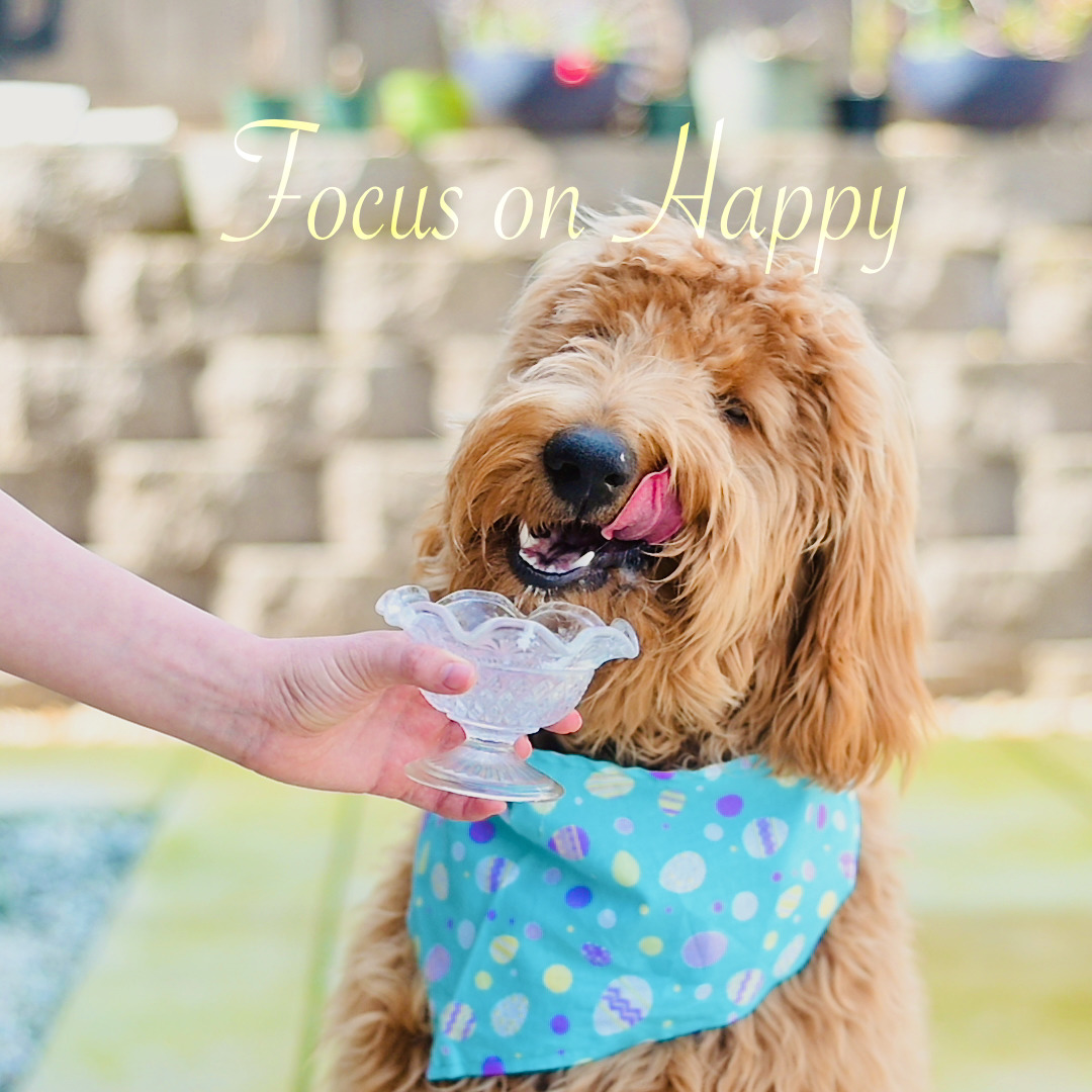 Focus on Happy