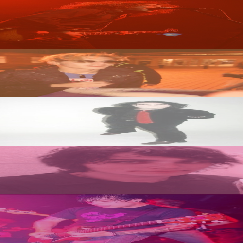 I Made Lesbian Flags