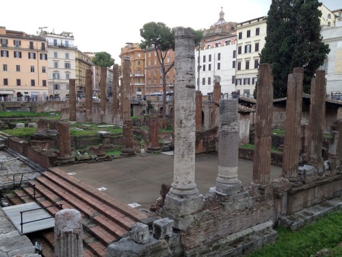 ancientromebuildings:Great pic of Largo di Argentina. The place there Caesar was slain is pretty clo