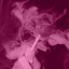 princely-inhibitions