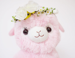 t-okimeki:   Flower Crown Alpacasso by (Pixie) 