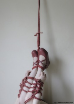 vegasbondage: ballerinabondagefairies:  nakashimakeiichiro: photo:nksm  