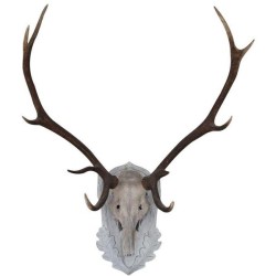 cecialva:  Large Vintage Elk Antlers Mounted on Wooden Plaque   ❤ liked on Polyvore (see more white home decor)