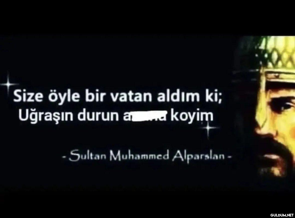 Size öyle bir vatan aldım...