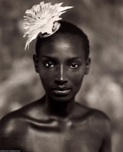 ko-no-ko:  Marc Lagrange