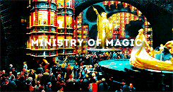  Harry Potter + Places 