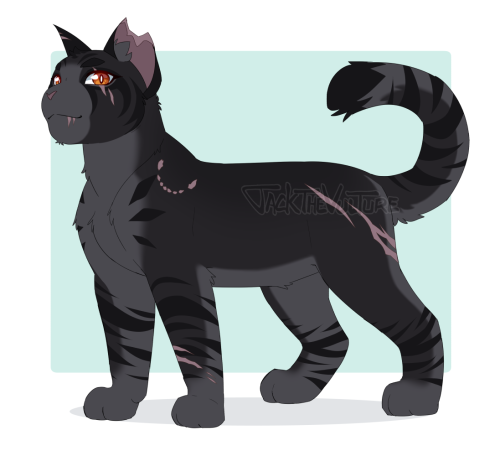 Another Clangen Cat (with Artistic Liberties On The Design To Spice It Up And Make It More Mine) And