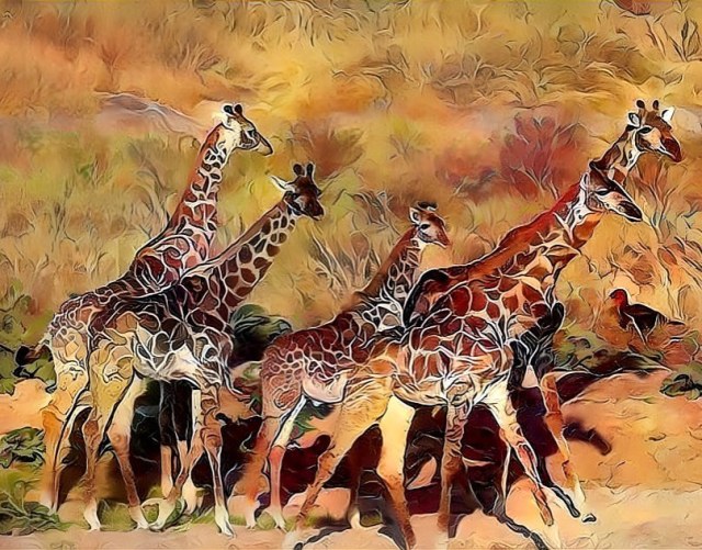 #TGIF  Support @giraffe_conservation  #SaveTheGiraffes  https://www.instagram.com/p/CdhPA7io6ET/?igshid=NGJjMDIxMWI= #tgif#savethegiraffes