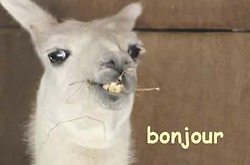 suffics:   to the people who have followed me lately that I did not greet   