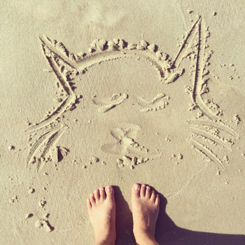 Sometimes it nice to drag your feet in the sand and draw… and take a cue from our cat friends