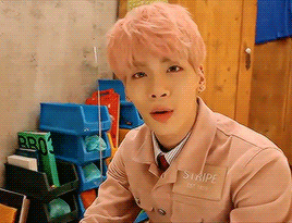 shoyeonji:  pretty in pink ♡ 
