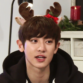 sefuns:  most handsome reindeer :)