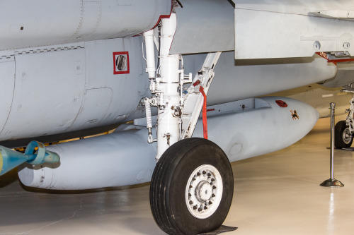 rocketumbl:  F-14D 
