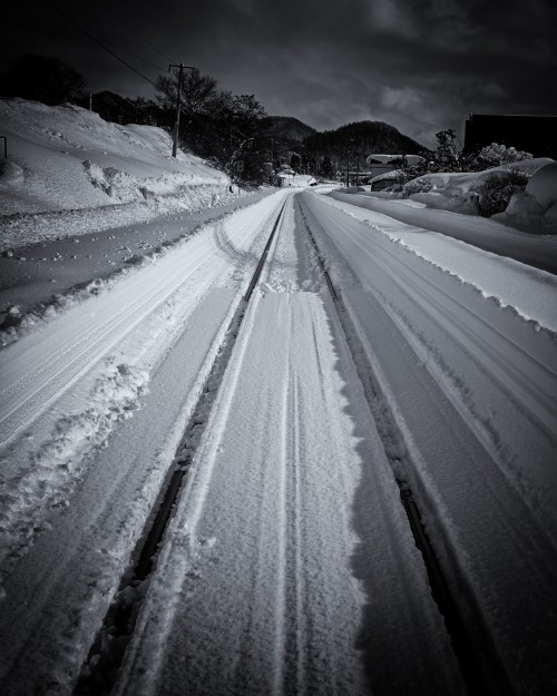 北海道民が白魔に負けた日