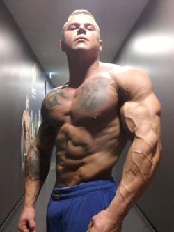 Big-Strong-Tough:  Werner Vollkommer