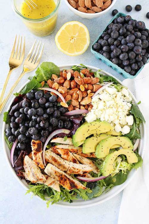 pinterestfoodie1992:GRILLED CHICKEN BLUEBERRY FETA SALAD WITH LEMON POPPY SEED DRESSING