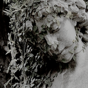 myth moodboards: artemis + forestrequested by @thedaughteroftheforestland