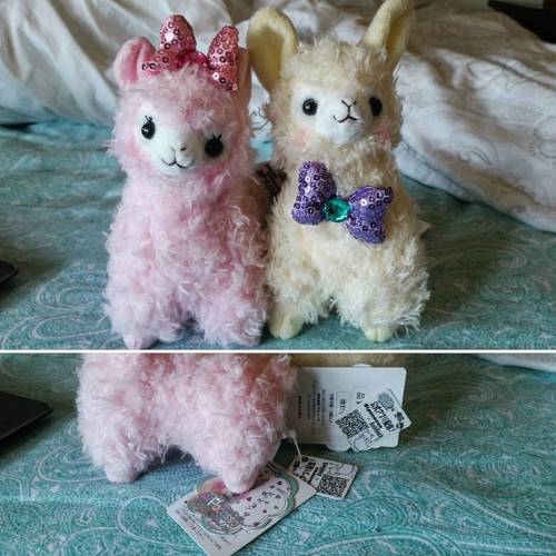 yourhatemademe:I love the fur on this series!! And the sparkly bows  just adorable#alpacasso #arpaka