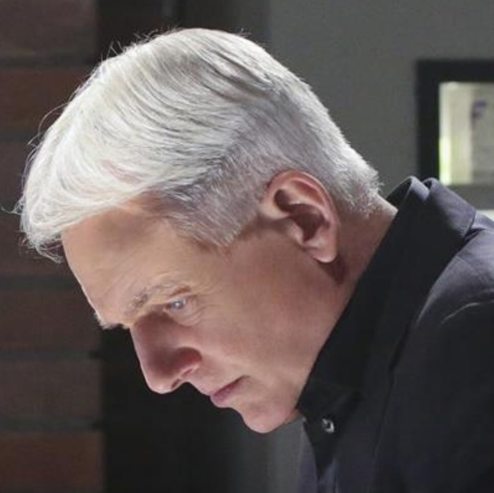 gibbs from ncis hair