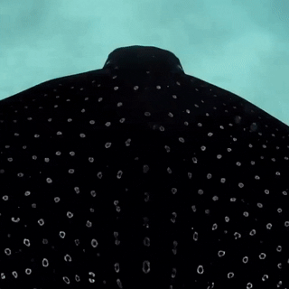 seatrench: Spotted Eagle Ray (source)