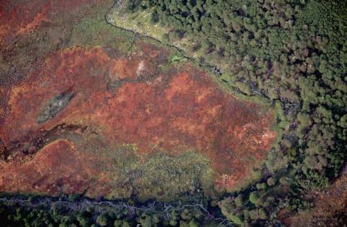 Peat bog the size of England will help unravel Congo Basin&rsquo;s climate history.Peat is a predece