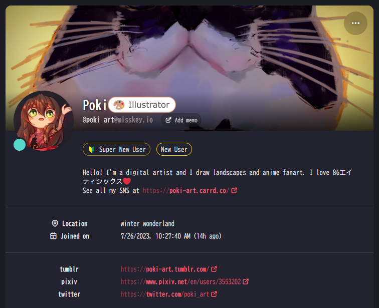 GitHub - poki-bot/poki-bot.github.io