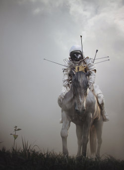 creaturesfromdreams:    Don Quixote by  Jie Ma  