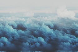 trembling-petals:  ☁☁☁