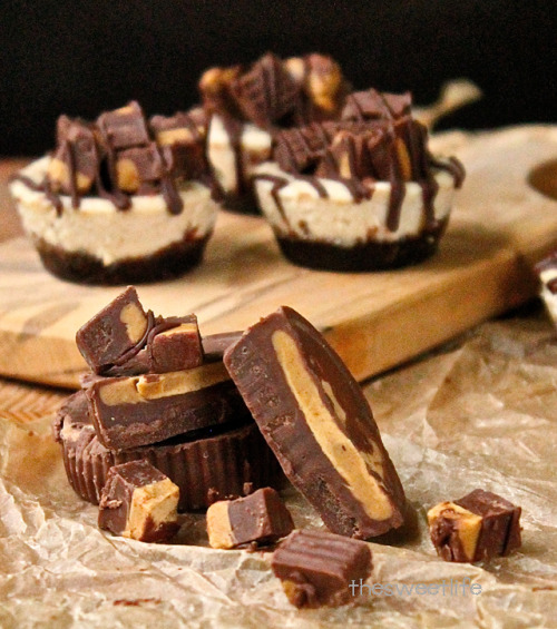 Porn photo vegan-yums:  Cleo’s Peanut Butter Cup Cheesecake