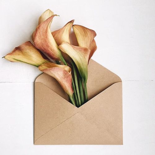 floralls:  envelope series I by anna remarchuk       