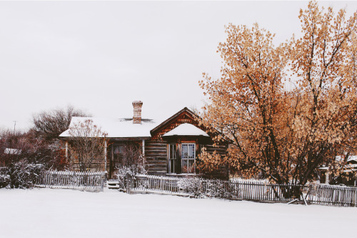 alexstrohl:  Surreal day roaming the snow covered streets of a ghost town from the gold rush. 