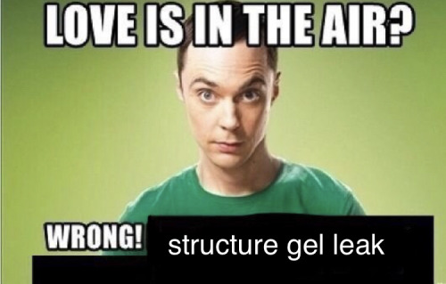 A picture of Sheldon Cooper from the Big Bang Theory tv show. He is staring at the camera with raised eyebrows in front of a green background. The words, "Love is in the air? Wrong, structure gel leak" is layered over top of him, with the words 'structure gel leak' being layered over blacked out original text in order to make the meme funnier.