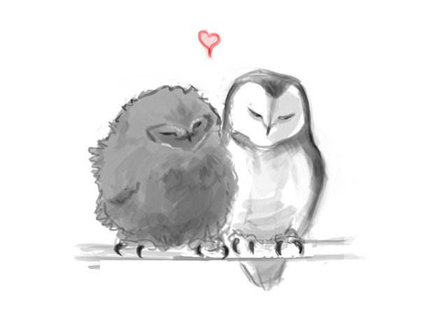 emmahay:  Owl Shop. (Or, when Harry found Hegwig’s successor - before it could