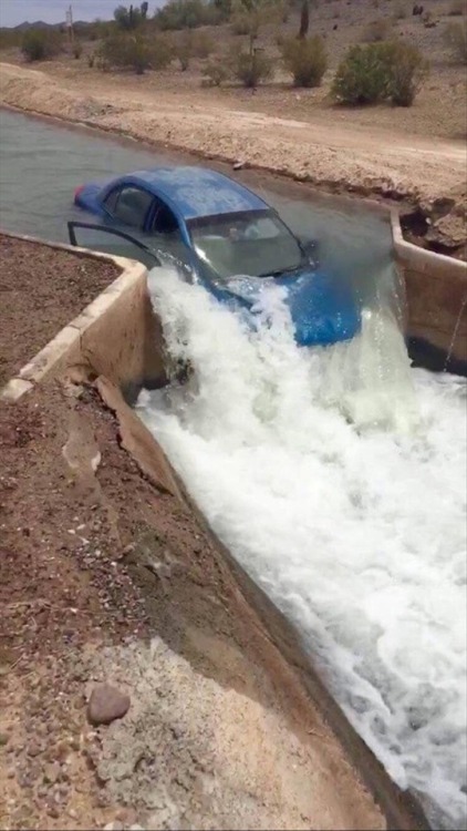 sweetdarlin:  edensmidian:  alexstojkovic:  I drove my Chevy to the levy but the levy was “oh shit!”  #chevy #chevrolet #water #funny #laugh #lol #levy  Ha  Lol…omg..the comment made me giggle  ~sd~ ❥  Got to wonder male or female driver.