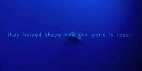 captainfilthrat:  Why are sharks so beautiful? x / x / x