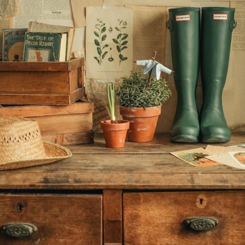 kitchen shelves