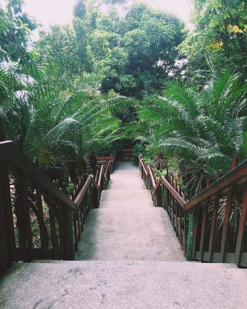 How can you complain about taking these stairs?. . . . #macqueripe #macqueripebay #trinidadandtoba