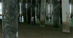 gaminginsanity:  GTA V - Funniest Switching to Trevor Moments. (x)   